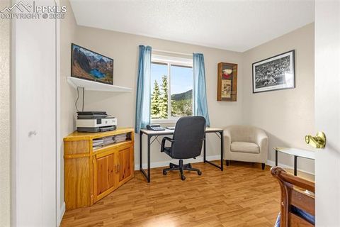 Tiny photo for 920 Forest Edge Road, Woodland Park, CO 80863 (MLS # 5612308)