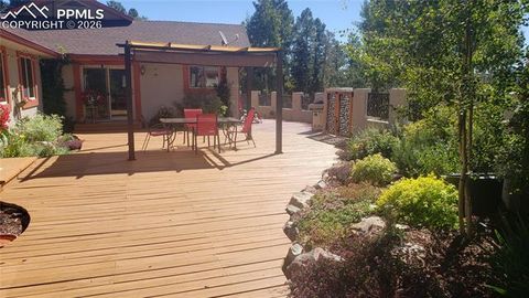 217 Skyline Drive Woodland Park CO 80863