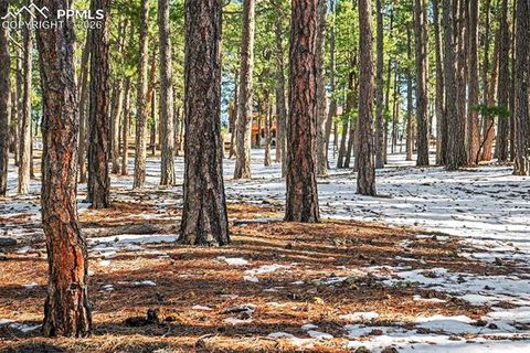 Tiny photo for 8265 Tannenbaum Road, Colorado Springs, CO 80908 (MLS # 7841108)