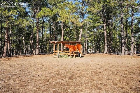 Tiny photo for 8265 Tannenbaum Road, Colorado Springs, CO 80908 (MLS # 7841108)