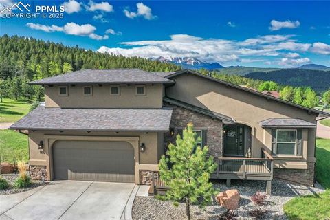 1105 Highlands Court Woodland Park CO 80863
