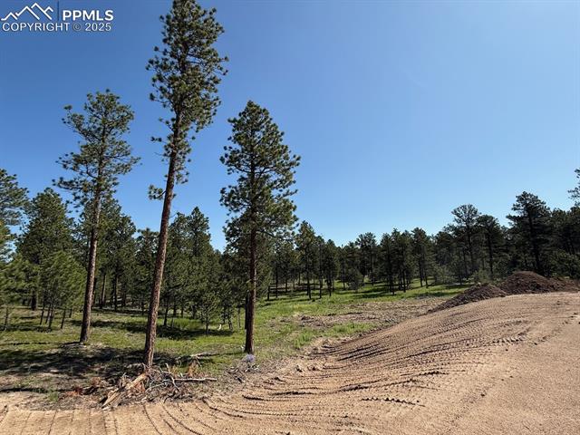 14681 Quartz Creek Drive