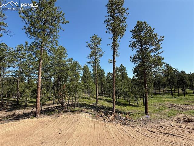 14681 Quartz Creek Drive