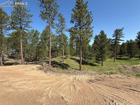Photo of 14681 Quartz Creek Drive, Colorado Springs, CO 80908 (MLS # 6873917)