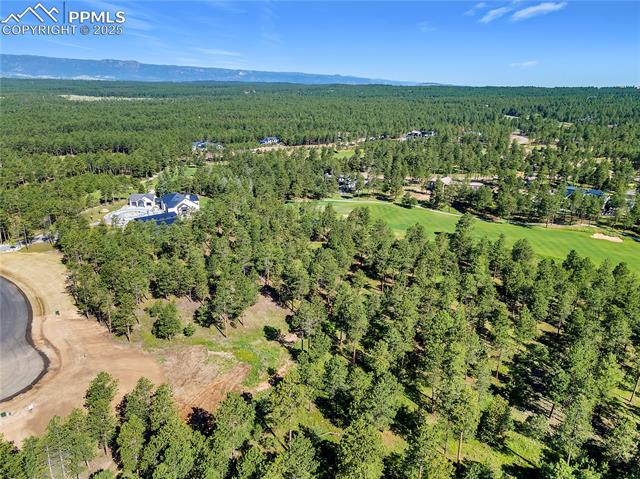 14681 Quartz Creek Drive