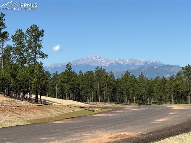 14681 Quartz Creek Drive