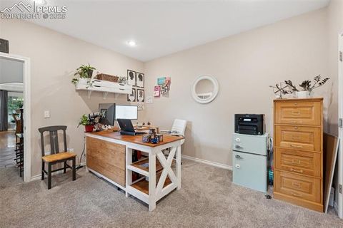 Tiny photo for 15595 Falcon Ridge Court, Colorado Springs, CO 80921 (MLS # 1037416)