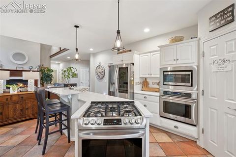 Tiny photo for 15595 Falcon Ridge Court, Colorado Springs, CO 80921 (MLS # 1037416)