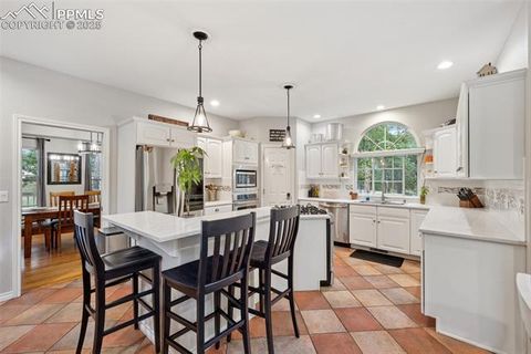 Tiny photo for 15595 Falcon Ridge Court, Colorado Springs, CO 80921 (MLS # 1037416)