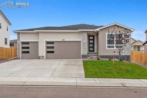 Photo of 10241 Kingsbury Drive, Peyton, CO 80831 (MLS # 7064392)