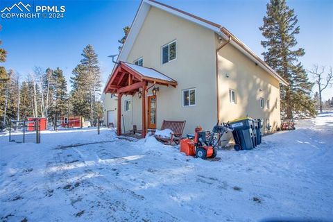 167 County Road 511 Divide CO 80814