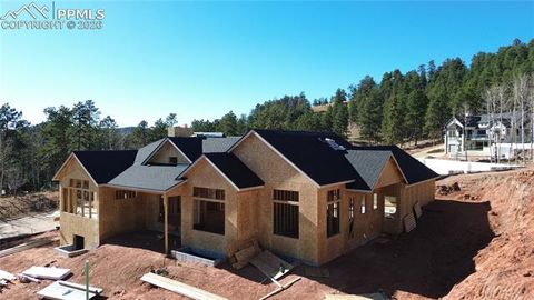 Tiny photo for 1405 Red Haven Place, Woodland Park, CO 80863 (MLS # 3800721)