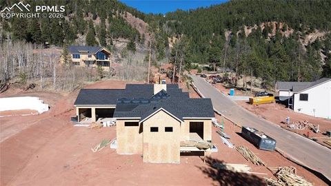 Tiny photo for 1405 Red Haven Place, Woodland Park, CO 80863 (MLS # 3800721)