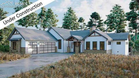 Photo of 1405 Red Haven Place, Woodland Park, CO 80863 (MLS # 3800721)