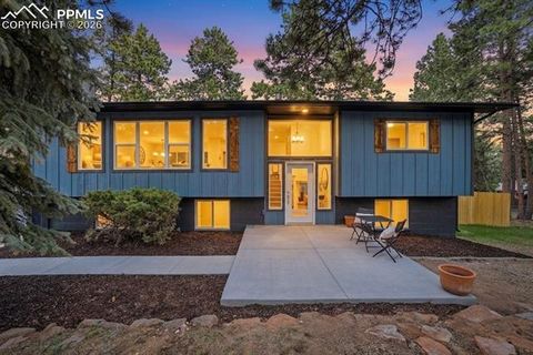 Photo of 307 Evergreen Street, Woodland Park, CO 80863 (MLS # 7228949)