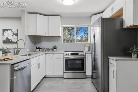 Tiny photo for 307 Evergreen Street, Woodland Park, CO 80863 (MLS # 7228949)