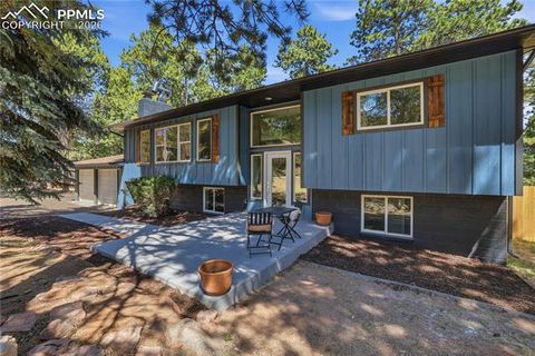 Tiny photo for 307 Evergreen Street, Woodland Park, CO 80863 (MLS # 7228949)