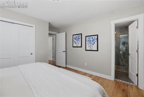 Tiny photo for 307 Evergreen Street, Woodland Park, CO 80863 (MLS # 7228949)