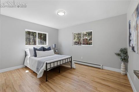 Tiny photo for 307 Evergreen Street, Woodland Park, CO 80863 (MLS # 7228949)