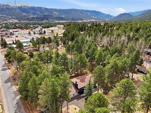 Tiny photo for 307 Evergreen Street, Woodland Park, CO 80863 (MLS # 7228949)