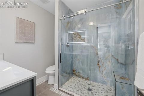 Tiny photo for 307 Evergreen Street, Woodland Park, CO 80863 (MLS # 7228949)