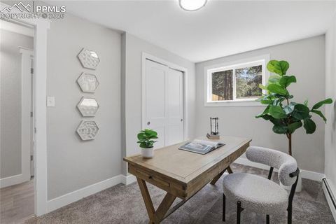 Tiny photo for 307 Evergreen Street, Woodland Park, CO 80863 (MLS # 7228949)
