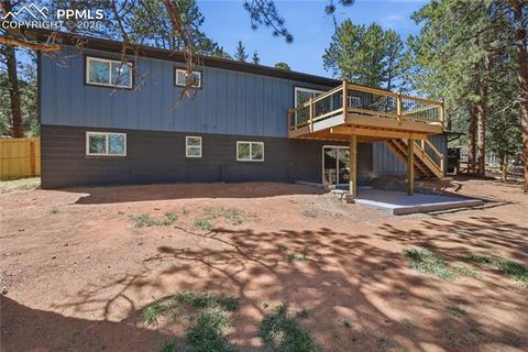 Tiny photo for 307 Evergreen Street, Woodland Park, CO 80863 (MLS # 7228949)
