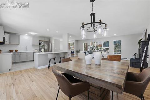 Tiny photo for 307 Evergreen Street, Woodland Park, CO 80863 (MLS # 7228949)