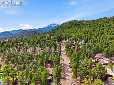 Tiny photo for 307 Evergreen Street, Woodland Park, CO 80863 (MLS # 7228949)