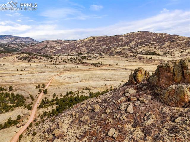 324 Elk View Court