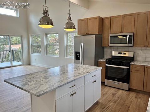 Tiny photo for 1328 N Mountain Estates Road, Florissant, CO 80816 (MLS # 1232598)