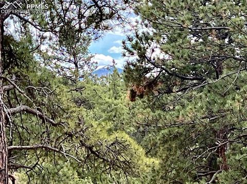 Tiny photo for 1328 N Mountain Estates Road, Florissant, CO 80816 (MLS # 1232598)