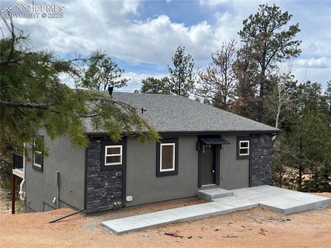 Tiny photo for 1328 N Mountain Estates Road, Florissant, CO 80816 (MLS # 1232598)