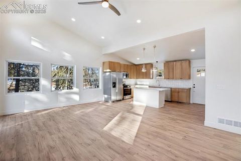 Tiny photo for 1328 N Mountain Estates Road, Florissant, CO 80816 (MLS # 1232598)