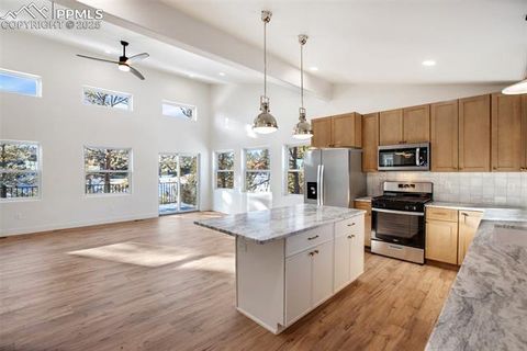 Tiny photo for 1328 N Mountain Estates Road, Florissant, CO 80816 (MLS # 1232598)