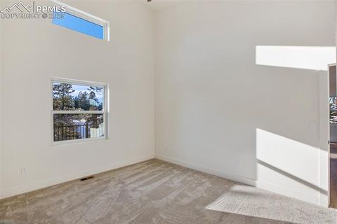 Tiny photo for 1328 N Mountain Estates Road, Florissant, CO 80816 (MLS # 1232598)