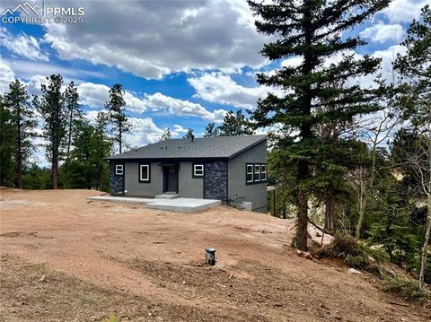 Tiny photo for 1328 N Mountain Estates Road, Florissant, CO 80816 (MLS # 1232598)