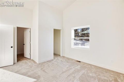 Tiny photo for 1328 N Mountain Estates Road, Florissant, CO 80816 (MLS # 1232598)