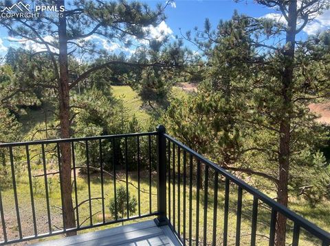 Tiny photo for 1328 N Mountain Estates Road, Florissant, CO 80816 (MLS # 1232598)