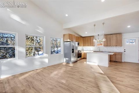 Tiny photo for 1328 N Mountain Estates Road, Florissant, CO 80816 (MLS # 1232598)