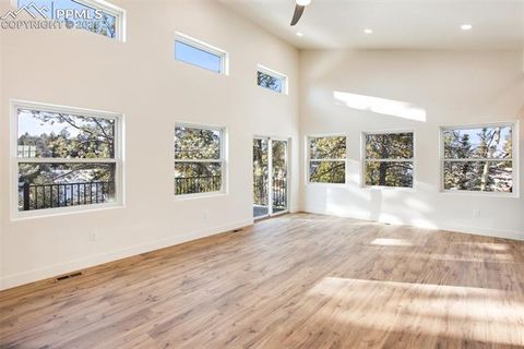 Tiny photo for 1328 N Mountain Estates Road, Florissant, CO 80816 (MLS # 1232598)