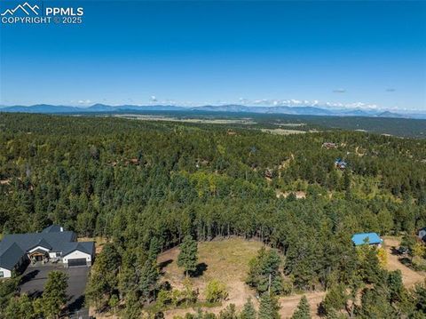 Photo of 197 Parkview Drive, Woodland Park, CO 80863 (MLS # 2479477)