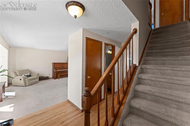 925 Wuthering Heights Drive