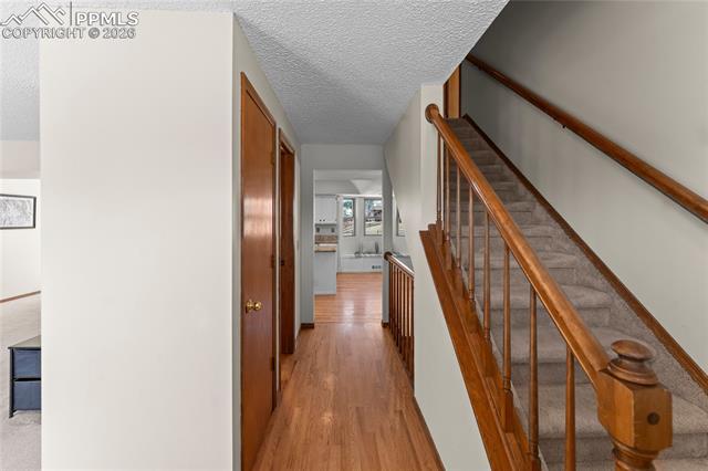 925 Wuthering Heights Drive