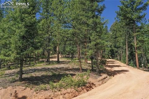 Tiny photo for 4041 Trout Creek Road, Woodland Park, CO 80863 (MLS # 6218834)