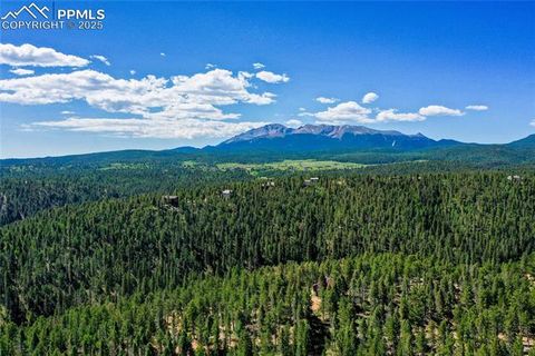 Tiny photo for 4041 Trout Creek Road, Woodland Park, CO 80863 (MLS # 6218834)