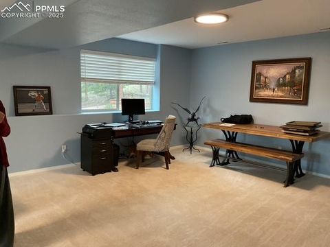 Tiny photo for 4041 Trout Creek Road, Woodland Park, CO 80863 (MLS # 6218834)