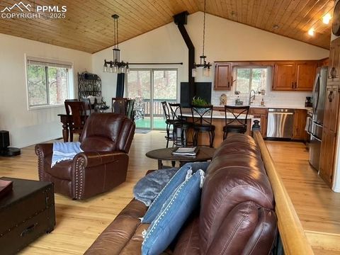 Tiny photo for 4041 Trout Creek Road, Woodland Park, CO 80863 (MLS # 6218834)