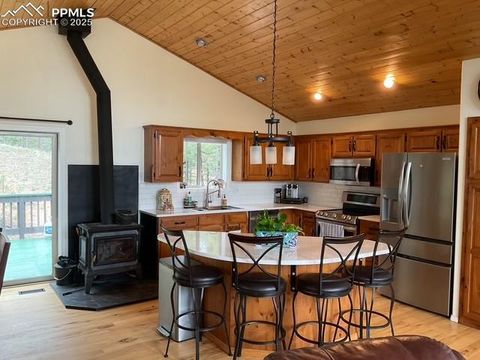 Tiny photo for 4041 Trout Creek Road, Woodland Park, CO 80863 (MLS # 6218834)