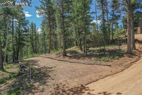 Tiny photo for 4041 Trout Creek Road, Woodland Park, CO 80863 (MLS # 6218834)